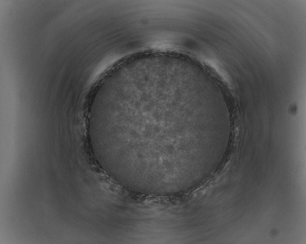 X0000094810776200711241444