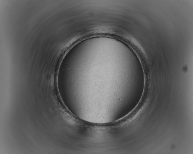 X0000094810777200711241444