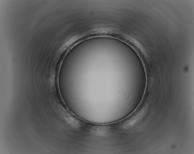 X0000094810778200711241444