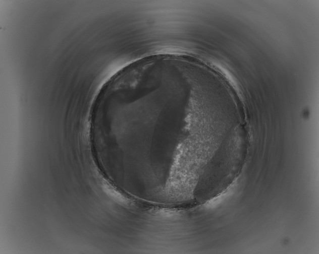 X0000094810779200711241444