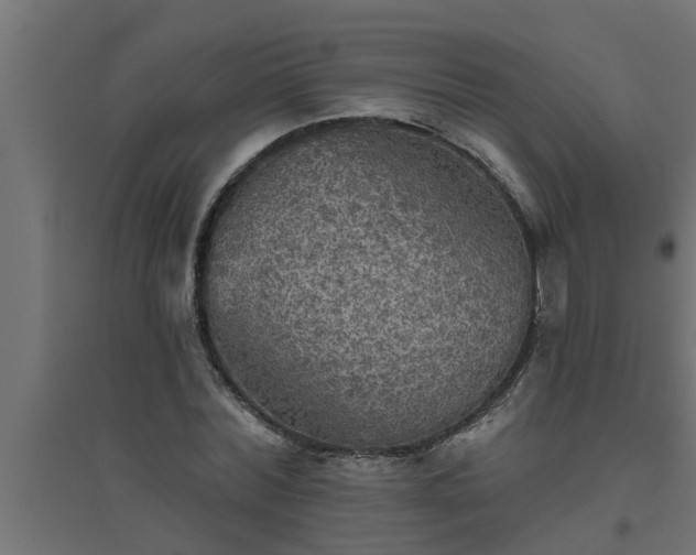 X0000094810780200711241444