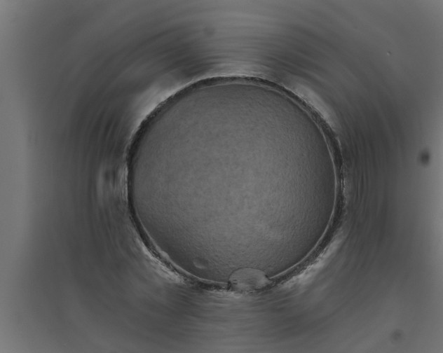 X0000094810781200711241444