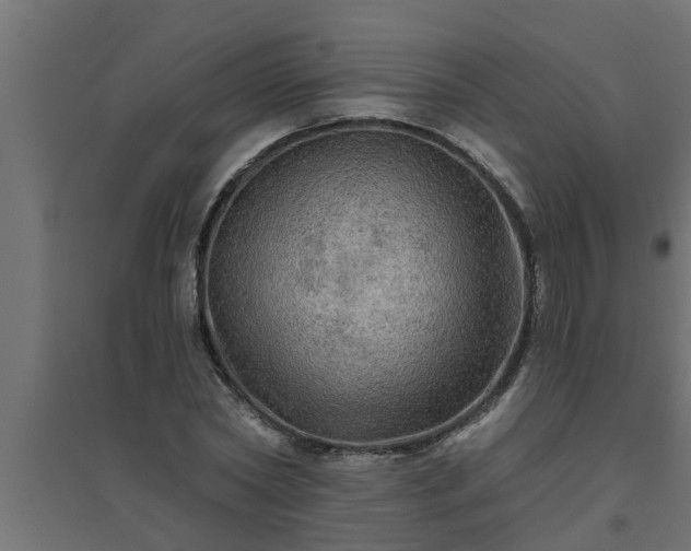 X0000094810782200711241444