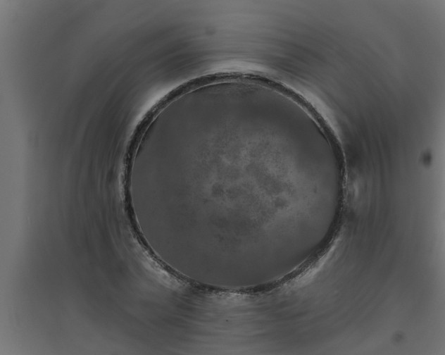 X0000094810783200711241444