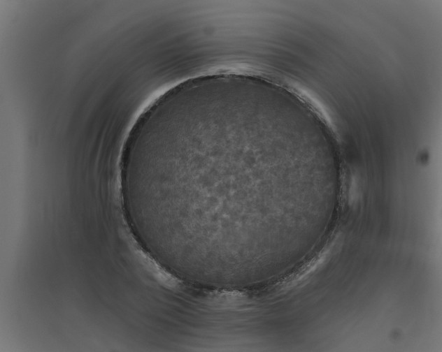 X0000094810784200711241444