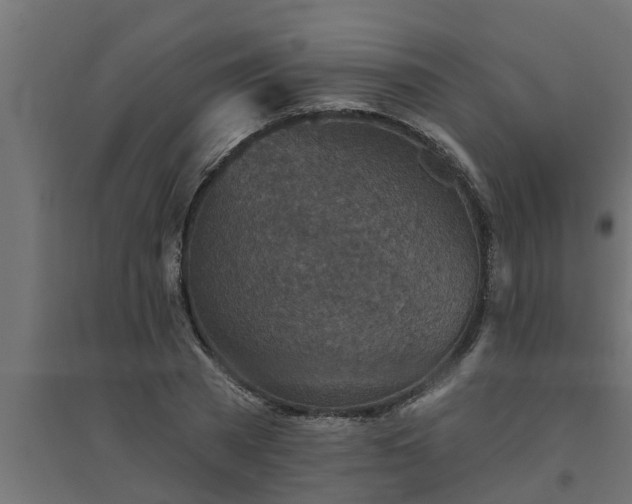 X0000094810785200711241444