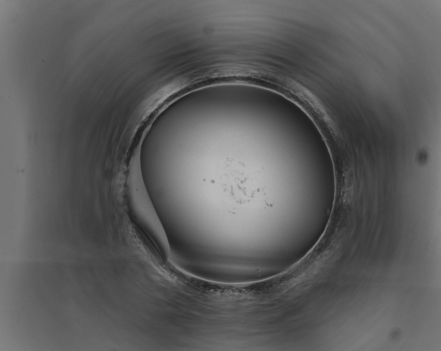 X0000094810786200711241444