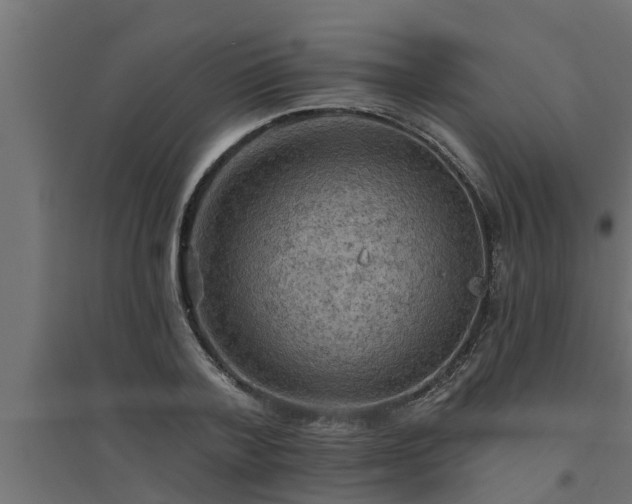 X0000094810788200711241444