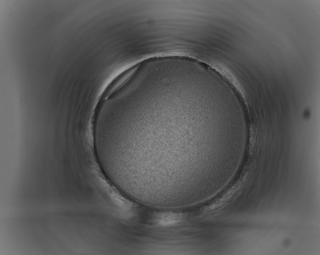 X0000094810789200711241444