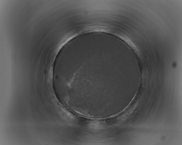 X0000094810790200711241444