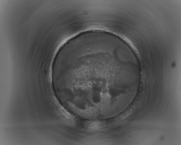 X0000094810791200711241444