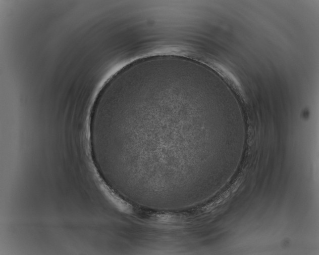 X0000094810792200711241444