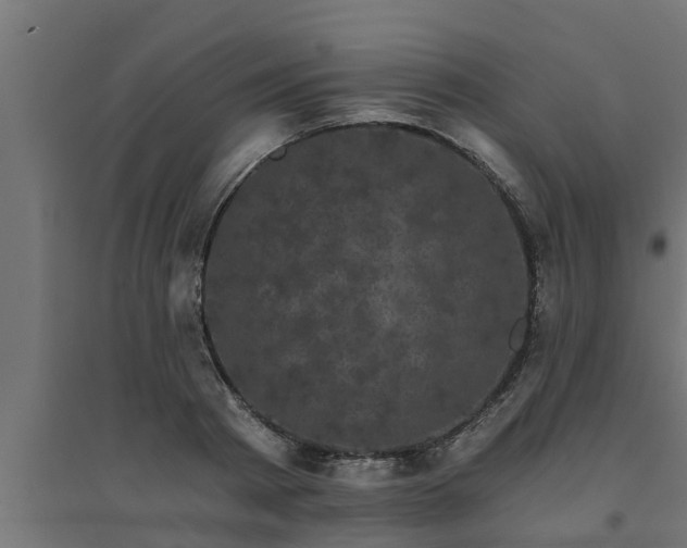 X0000094810793200711241444