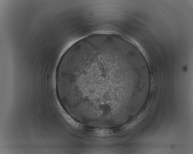 X0000094810795200711241444