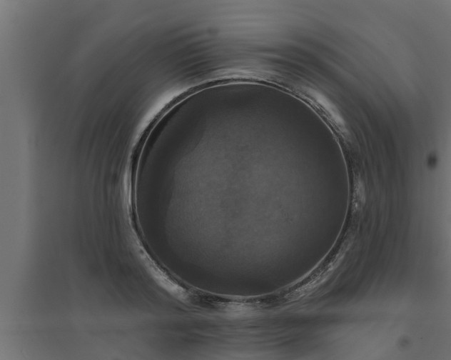 X0000094810796200711241444