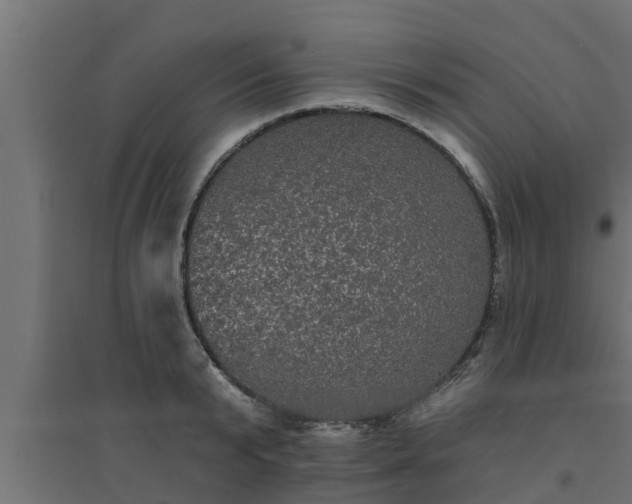 X0000094810799200711241444