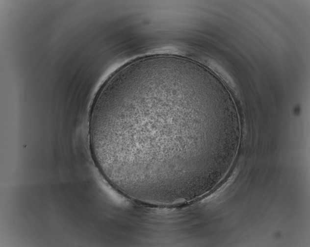 X0000094810800200711241444