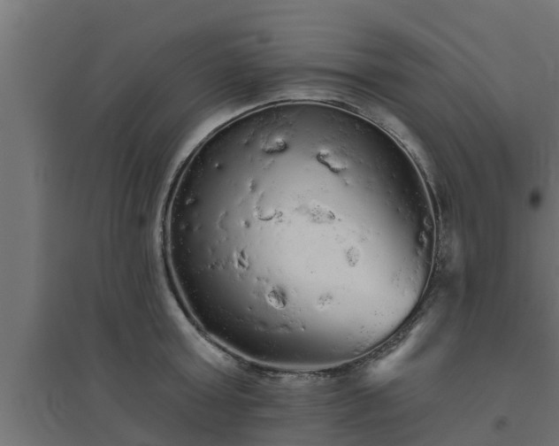 X0000094810803200711241444