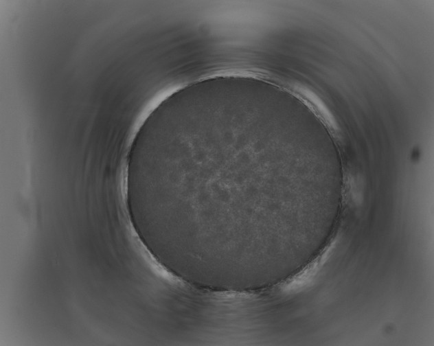 X0000094810804200711241444