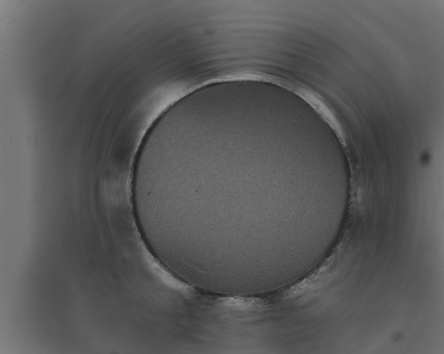 X0000094810805200711241444