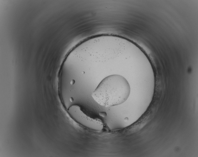 X0000094810807200711241444