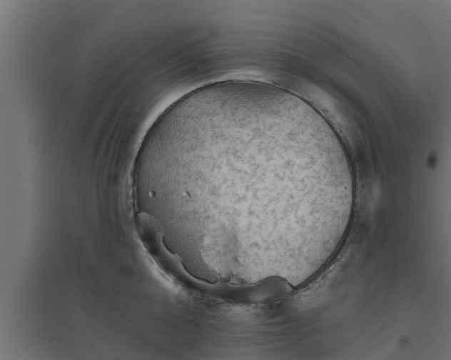 X0000094810808200711241444