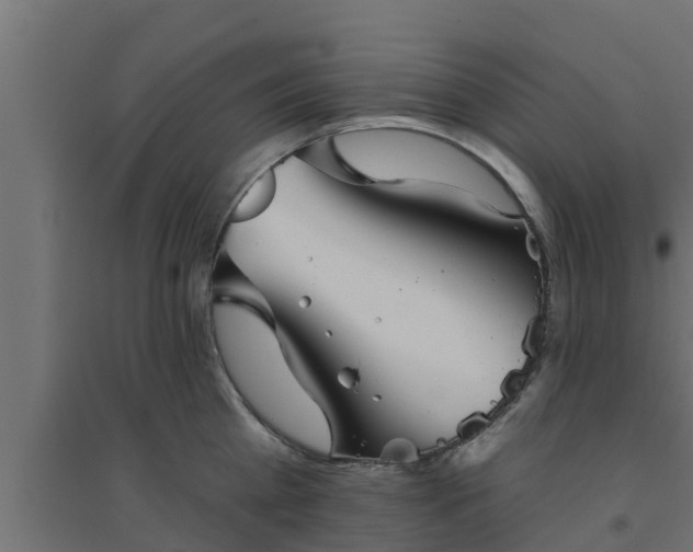 X0000094810809200711241444