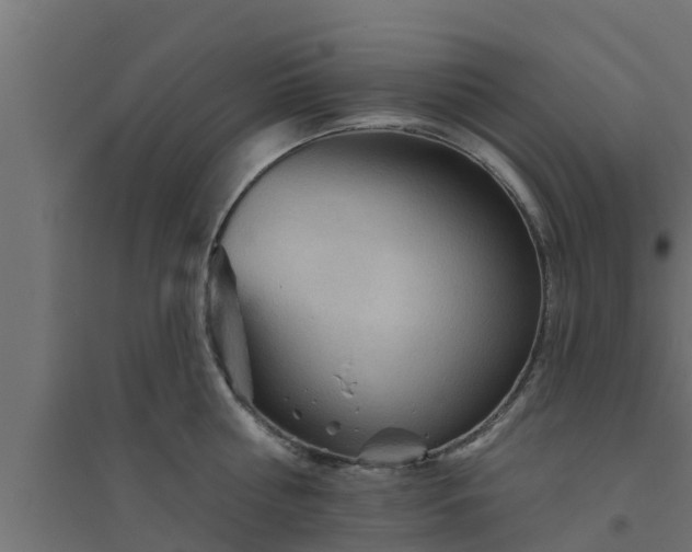 X0000094810810200711241444