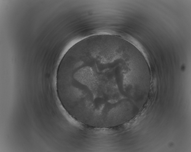 X0000094810811200711241444