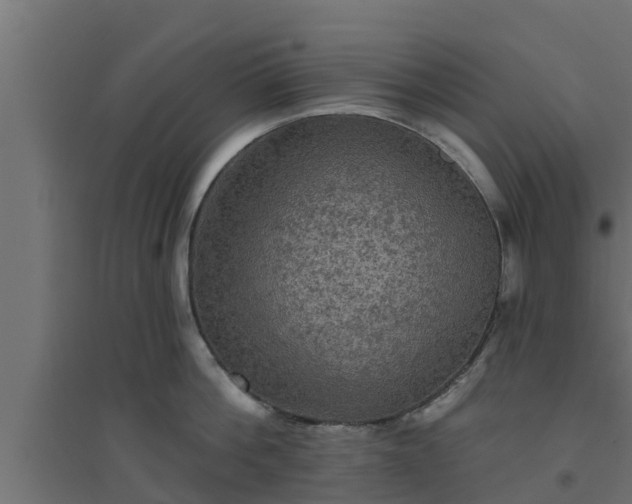 X0000094810812200711241444