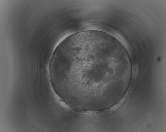 X0000094810814200711241444