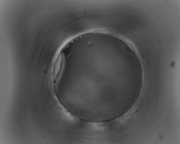 X0000094810816200711241444