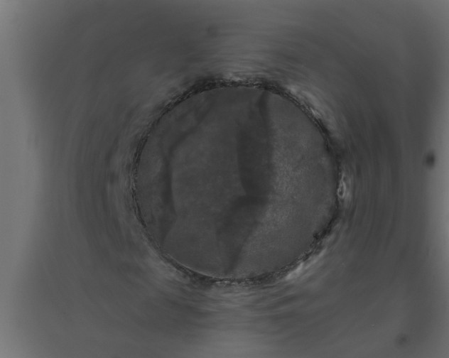 X0000094810817200711241443