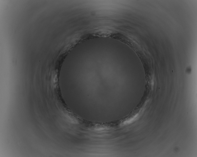 X0000094810818200711241443