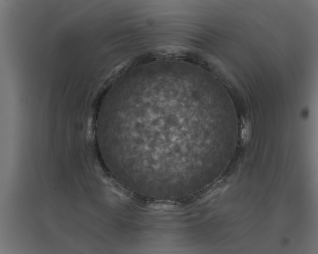 X0000094810819200711241443