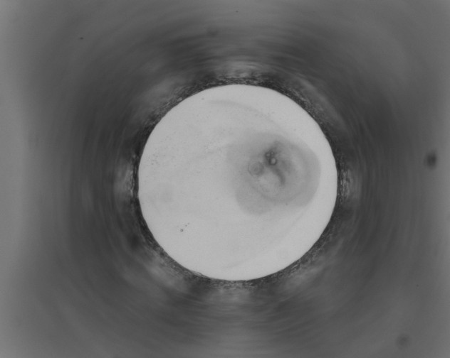 X0000094810820200711241443