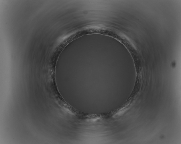 X0000094810822200711241443