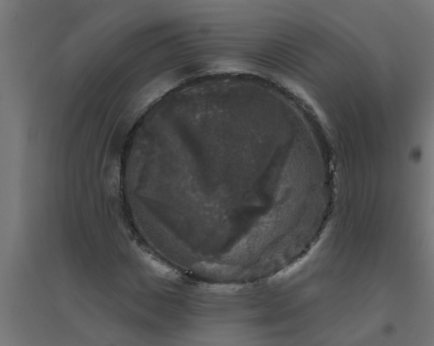 X0000094810825200711241443