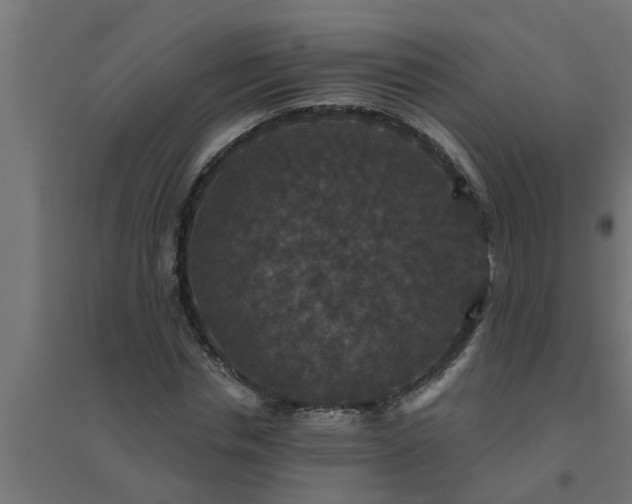 X0000094810826200711241443