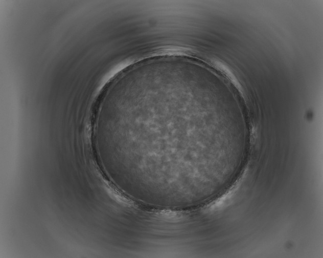 X0000094810827200711241443