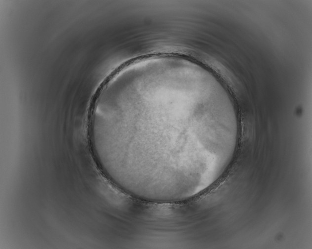 X0000094810828200711241443