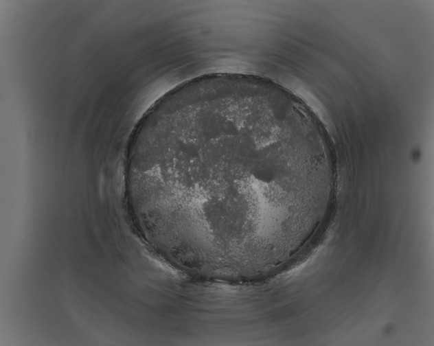 X0000094810829200711241443