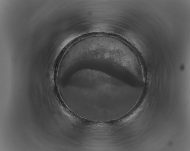 X0000094810830200711241443