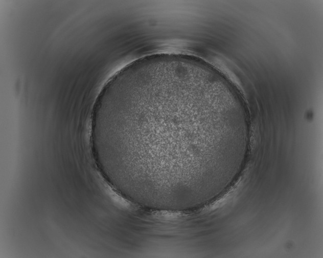 X0000094810831200711241443