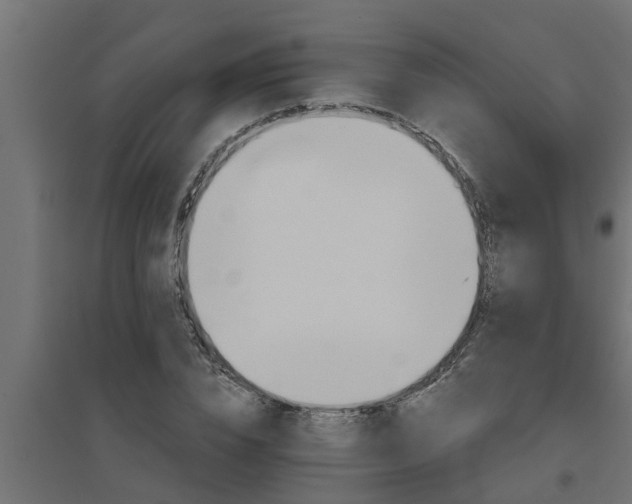 X0000094810832200711241443