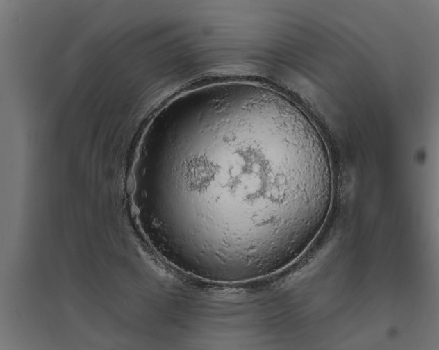 X0000094810833200711241443