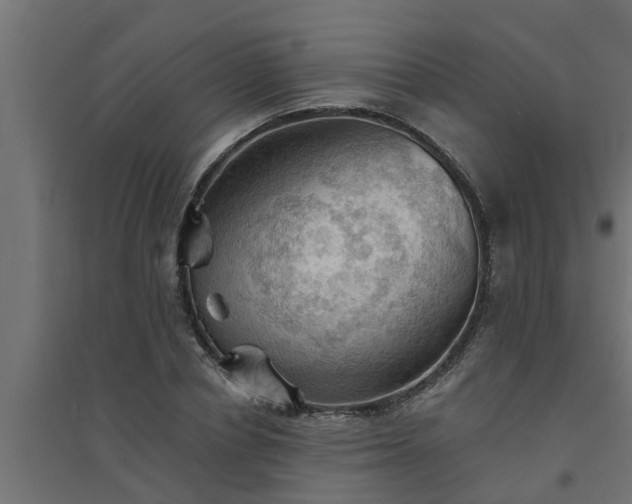 X0000094810834200711241444