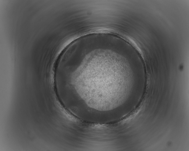 X0000094810835200711241444