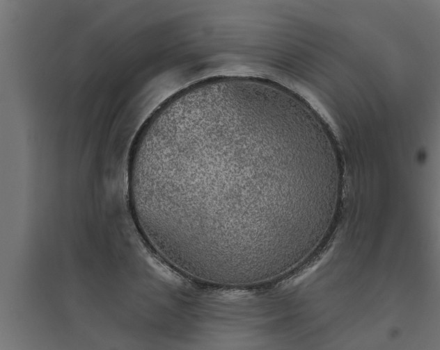 X0000094810837200711241444