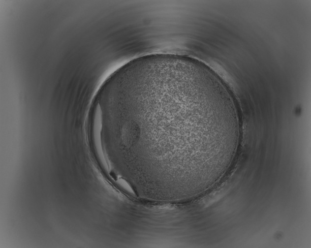 X0000094810838200711241444